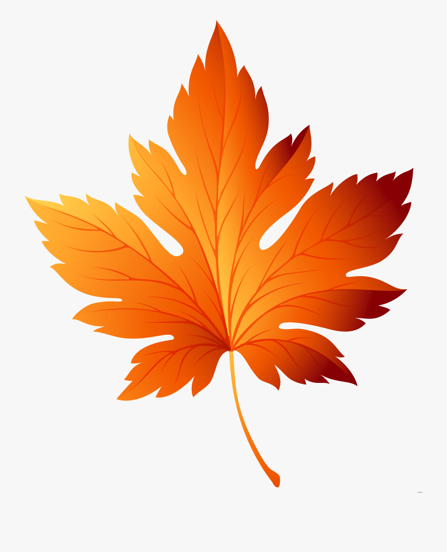 Transparent Leaf Clipart - Vector Autumn Leaf Png, Transparent Clipart
