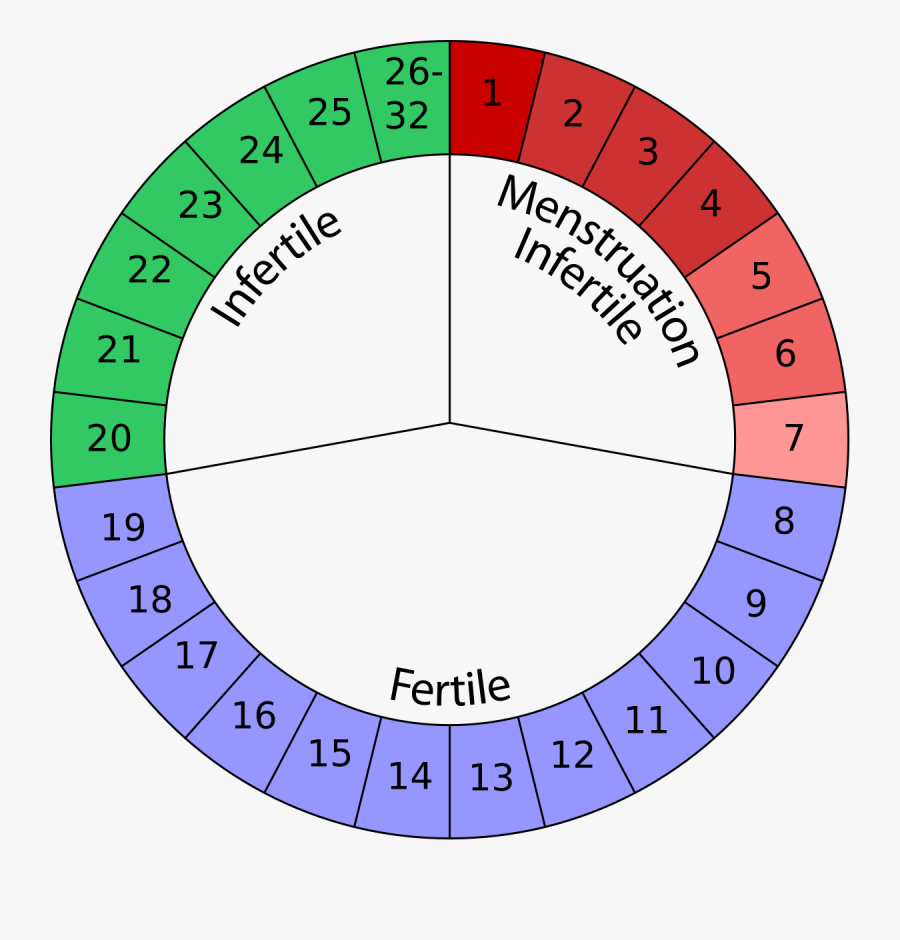 Extended Sexuality Wikipedia - Family Planning Natural Methods, Transparent Clipart