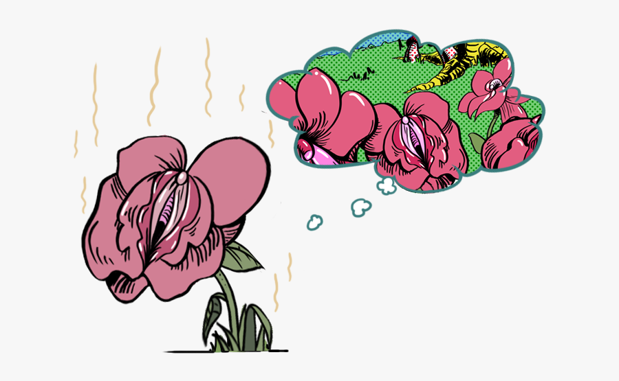 Female Sexual Dysfunctions, Transparent Clipart