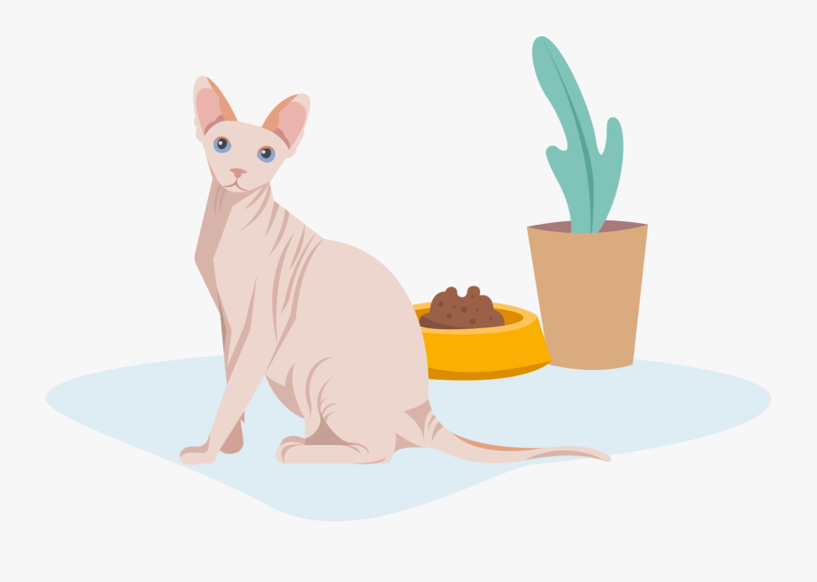Cat Food - Cat Yawns, Transparent Clipart