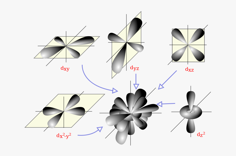 Some Orbitals - D Block Electron Orbital, Transparent Clipart