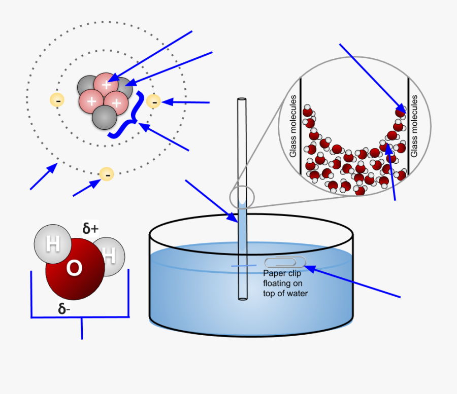 Properties Of Water Diagram, Transparent Clipart