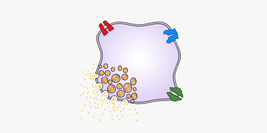 Clip Art, Transparent Clipart