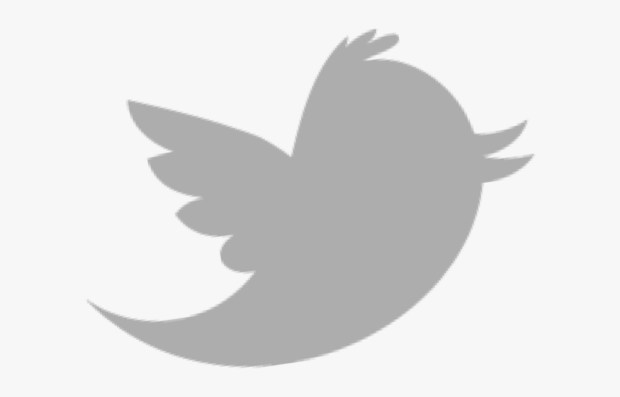 Greater Portland Council Of Governments Internet Organization - Twitter Logo Png Grey, Transparent Clipart