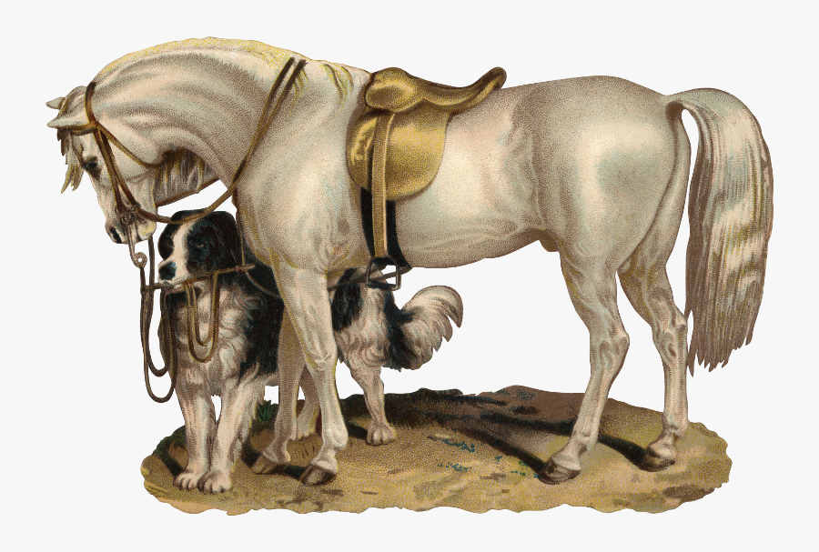 Illustration Cheval Et Chien, Transparent Clipart