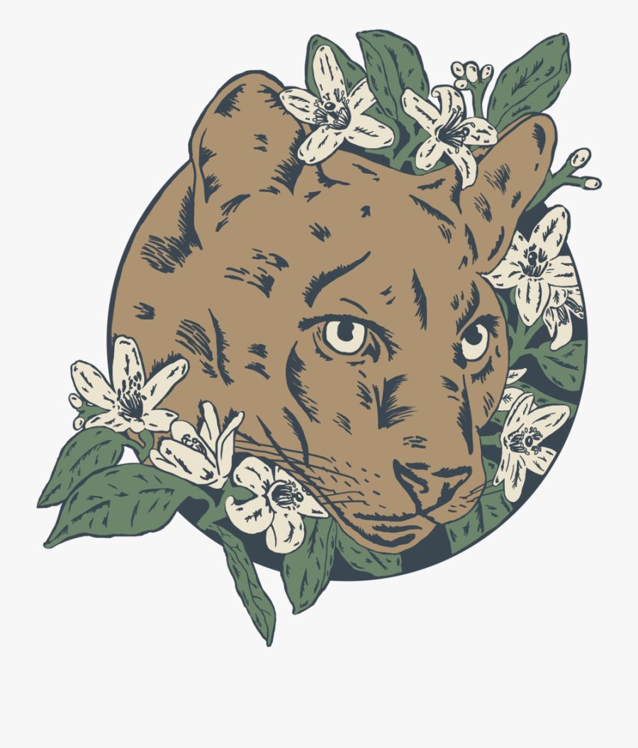 Panther-2 - Illustration, Transparent Clipart