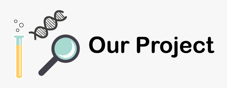 Circle, Transparent Clipart