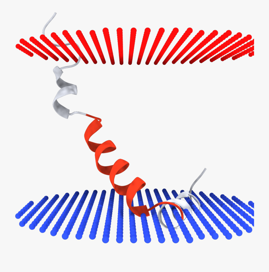 Dark Chocolate Tunnocks Tea Cakes, Transparent Clipart