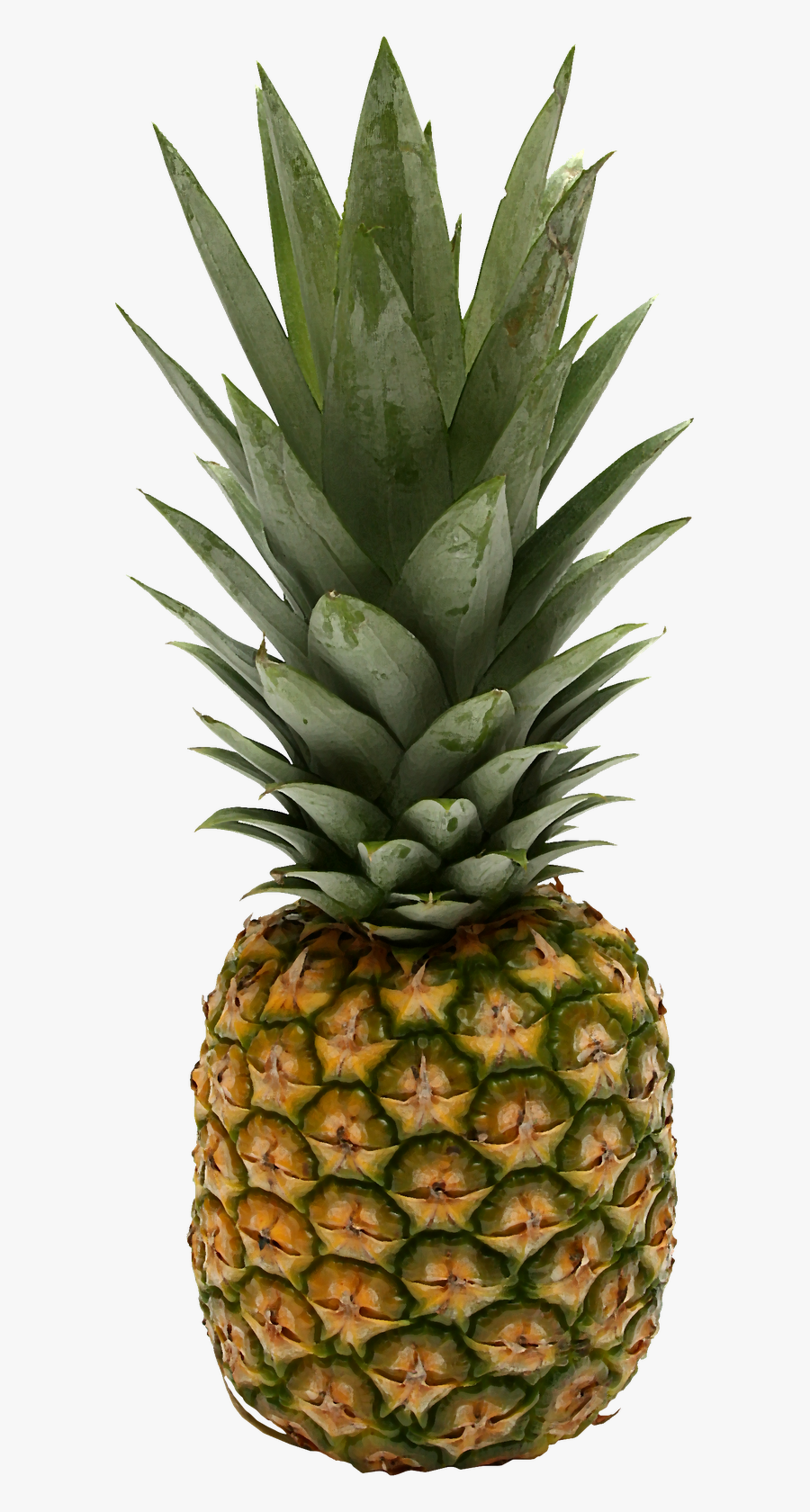 Pineapple, Nutrition With Nat Did You Know - Pineapple With Photoshop Background, Transparent Clipart