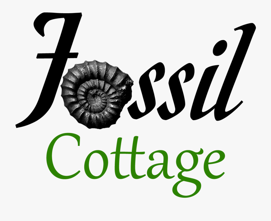Fossil Cottage Fossil Cottage, Transparent Clipart