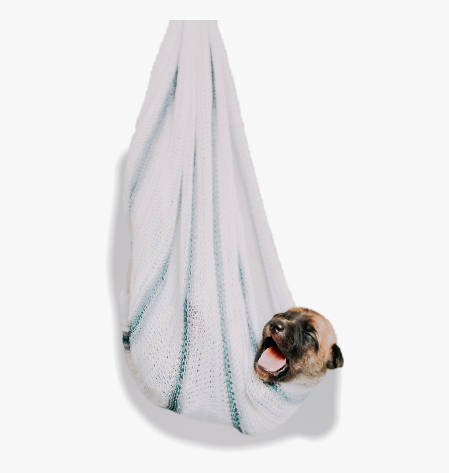 Sam Freetoedit Happypuppy - Dog, Transparent Clipart