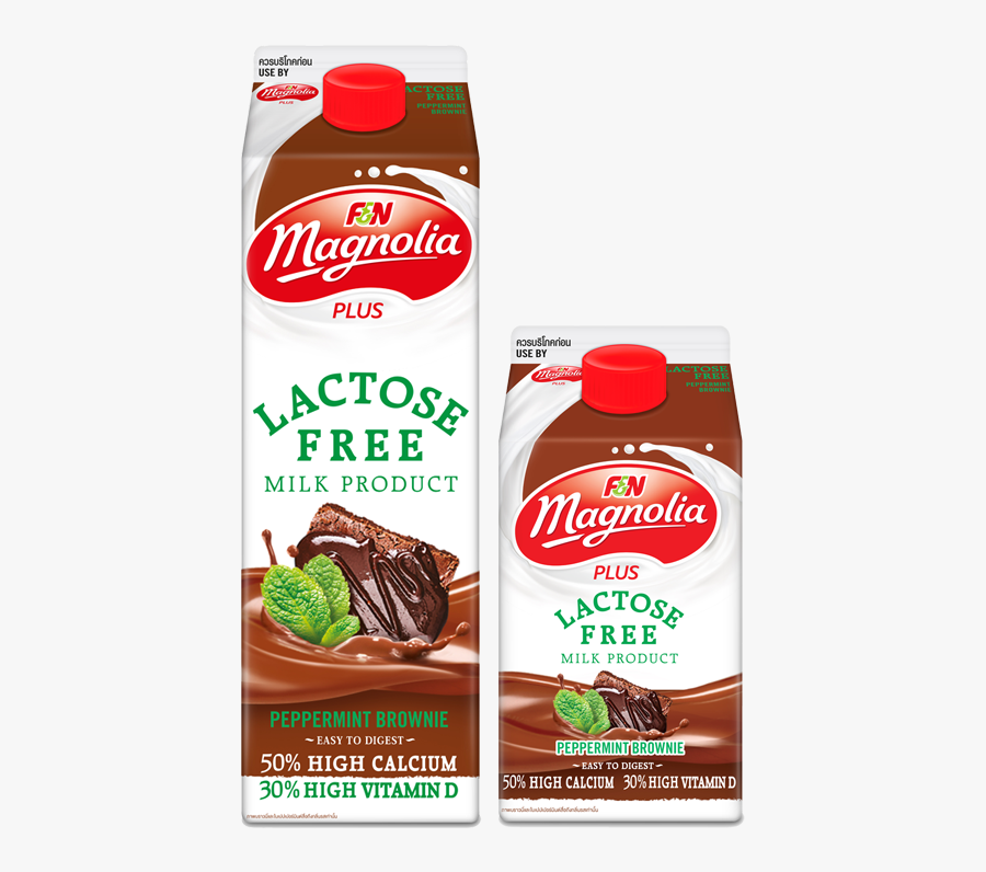 นม แมก โน เลีย, Transparent Clipart