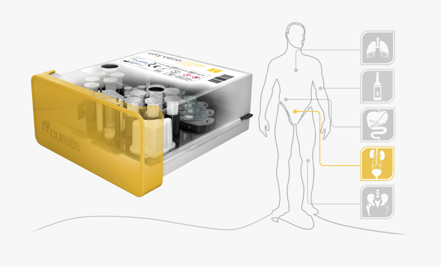 Cartridge Diagnostics, Transparent Clipart