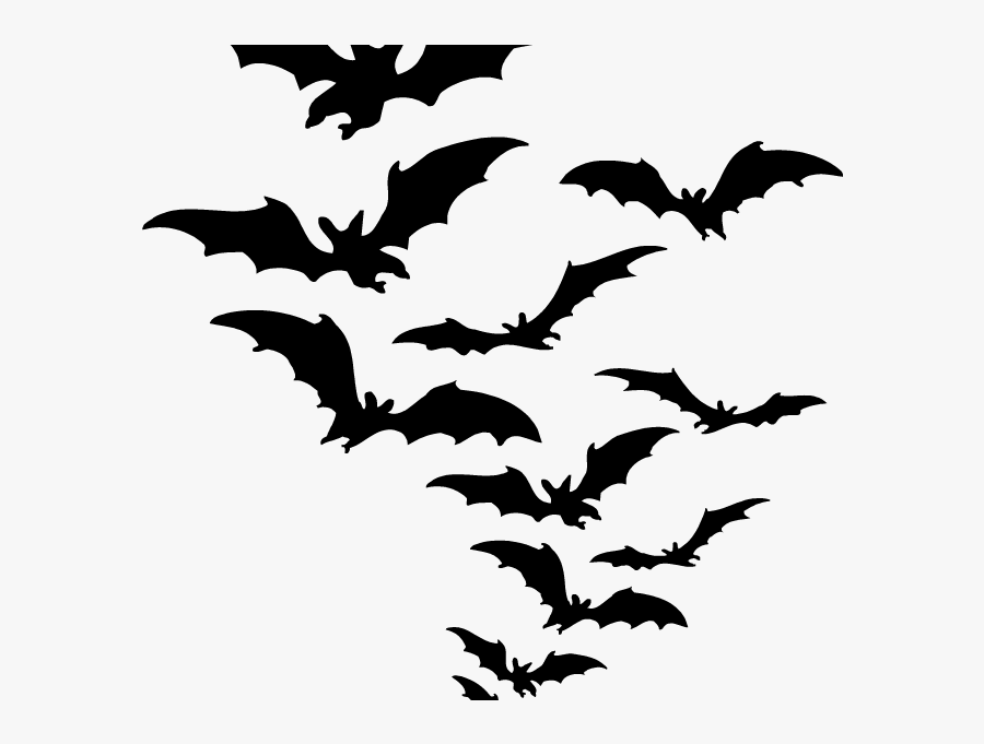 Transparent Spooky Forest Clipart - Bat Png, Transparent Clipart