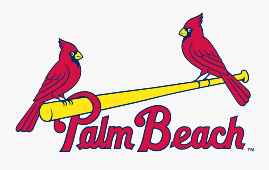 St Louis Cardinals, Transparent Clipart
