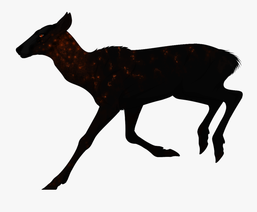 Reindeer Mustang Moschus Mammal - Roe Deer, Transparent Clipart
