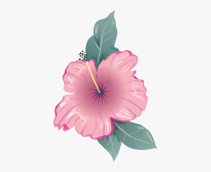 Morning-glory - Icon Bunga Pink Png, Transparent Clipart