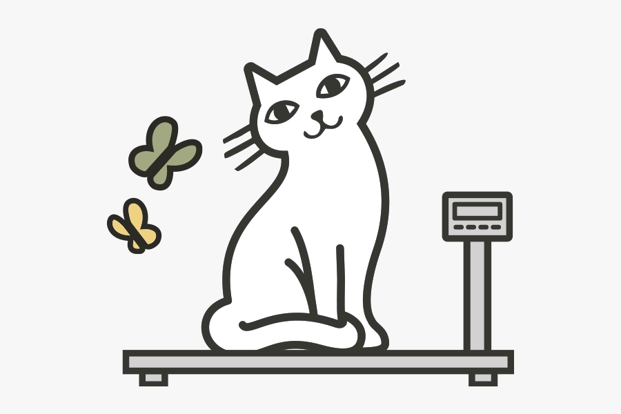 Weight Loss Cartoon Cat, Transparent Clipart