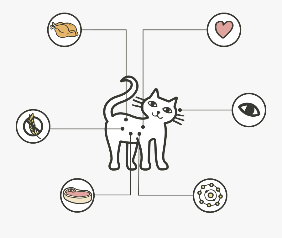 Cartoon, Transparent Clipart