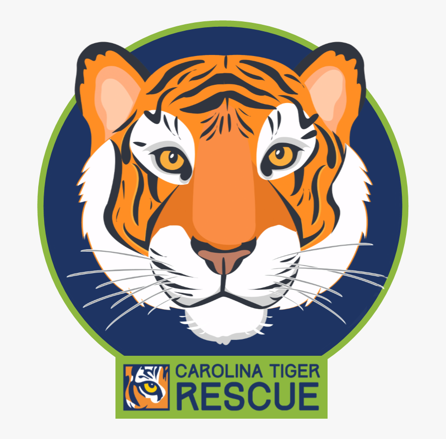 Tiger Tribe Club - St Andrews First Aid, Transparent Clipart