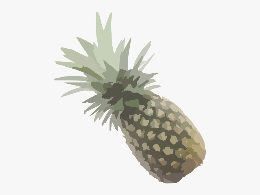Planta Tropical Verde Png, Transparent Clipart
