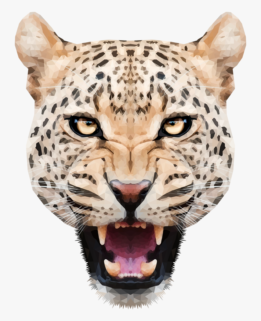 Leopar Png, Transparent Clipart