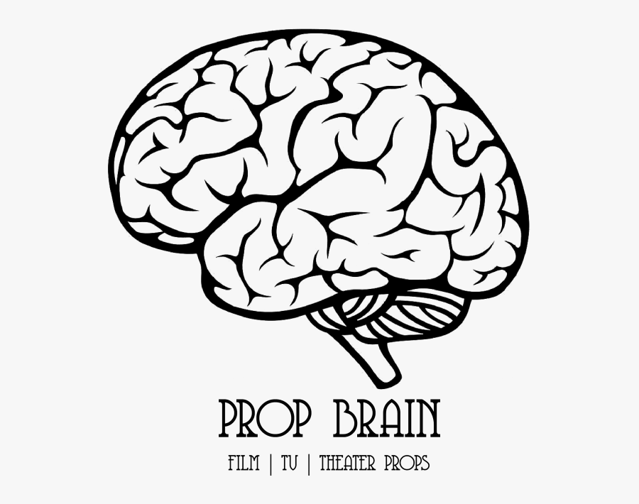 Brain Side View Vector Clipart , Png Download - Brain Drawing Transparent Background, Transparent Clipart
