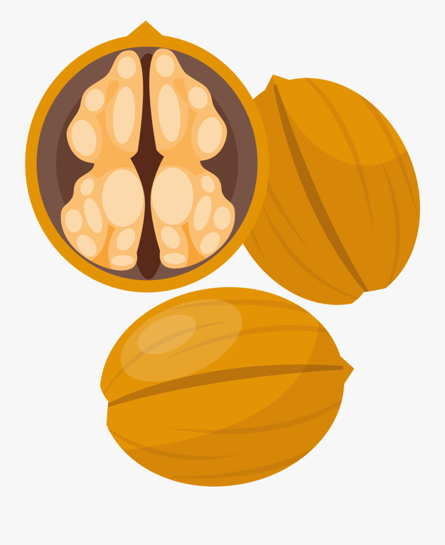 Walnuts Vector, Transparent Clipart