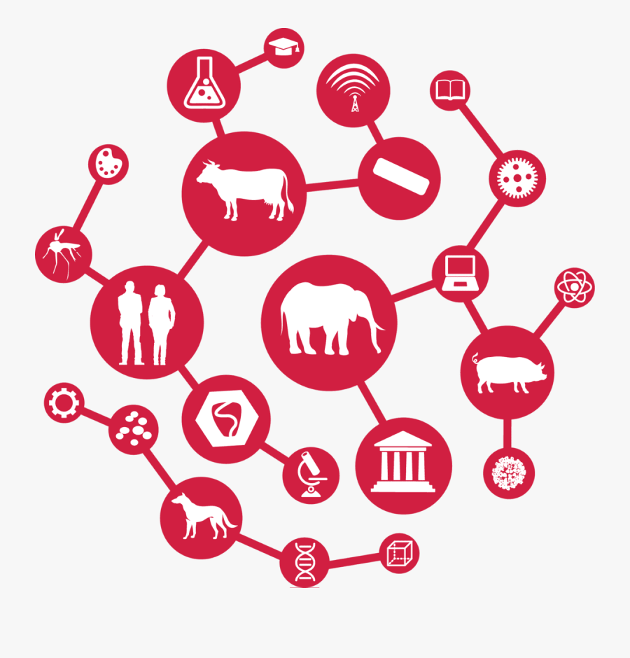 Clip Art, Transparent Clipart