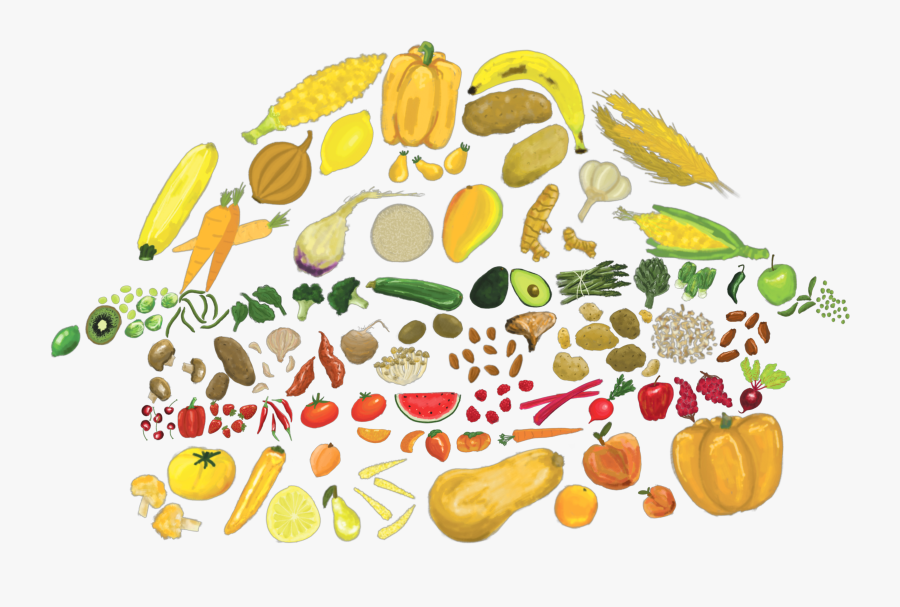 Clip Art, Transparent Clipart