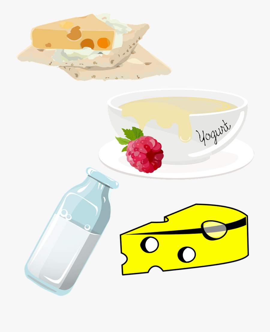 Health Medical Photos Stockkite - Dish, Transparent Clipart