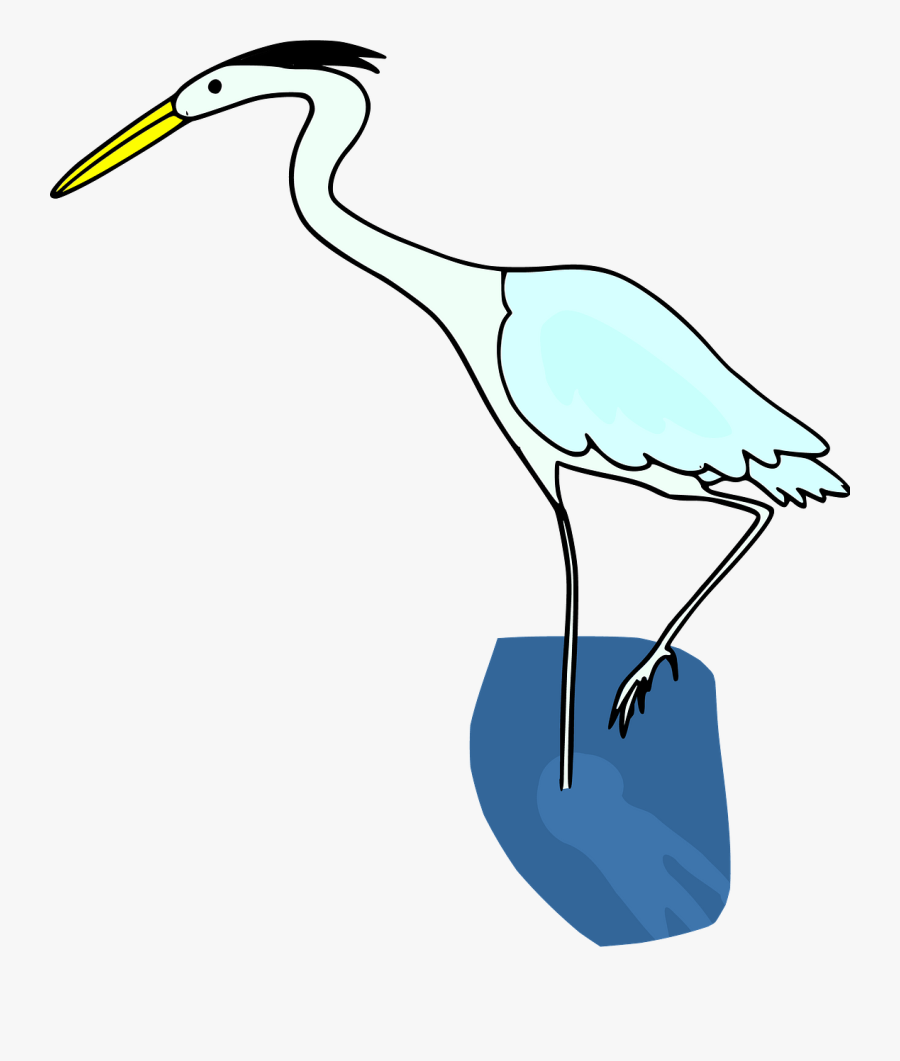 Seabird, Transparent Clipart