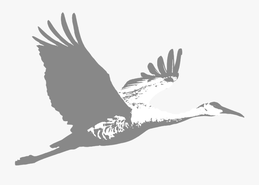 Crane - Birds Flying In The Grassland, Transparent Clipart