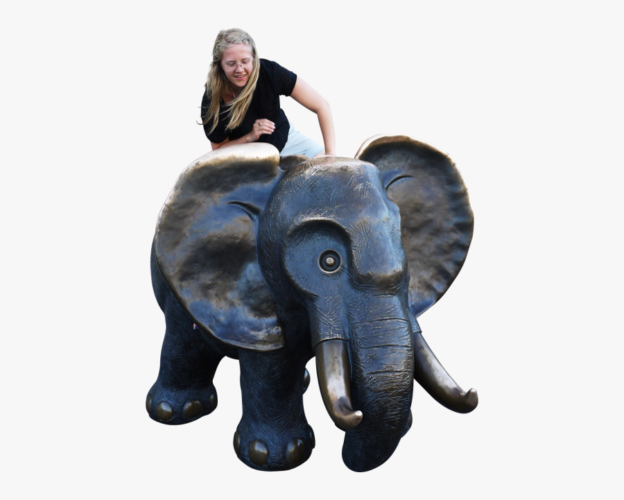 Photograph, Transparent Clipart