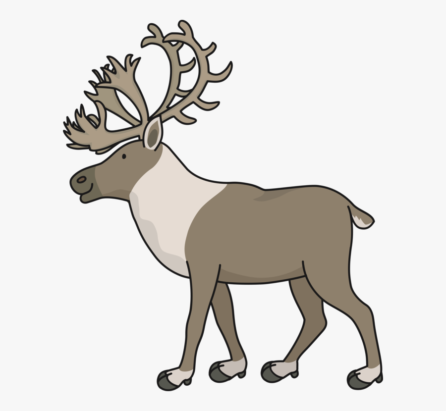 Fawn,elk,wildlife - トナカイ 無料 イラスト, Transparent Clipart