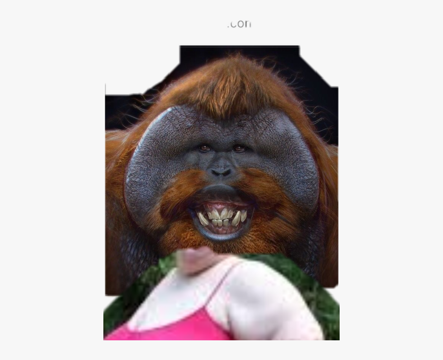Transparent Orangutan Clipart - Ugly Monkey, Transparent Clipart