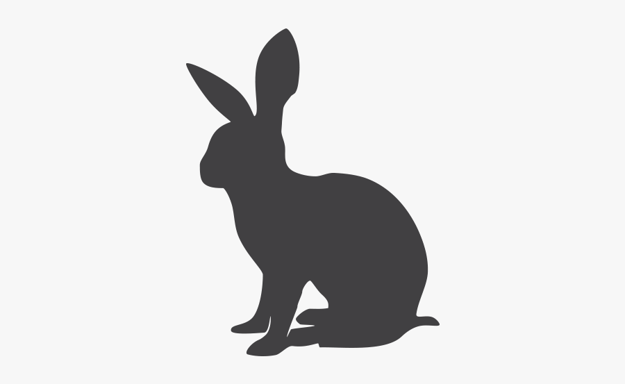 Wild Boar Loin Professional Secrets - Rabbit Meat Silhouette, Transparent Clipart