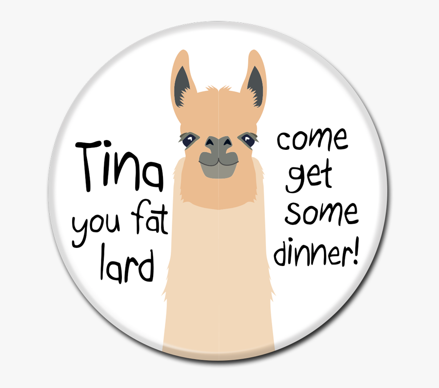 Llama, Transparent Clipart