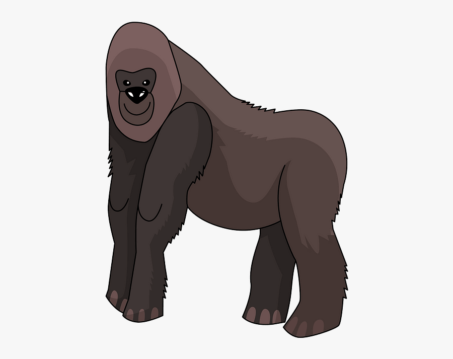Monkey, Transparent Clipart