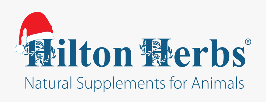 Graphic Design, Transparent Clipart