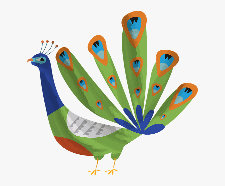 Peafowl, Transparent Clipart