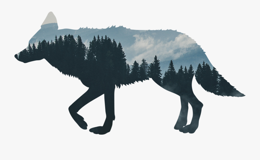 Coyote Creek Outfitters, Llc Dog Breed Hotelier As - Pier Giorgio Frassati Mountain, Transparent Clipart