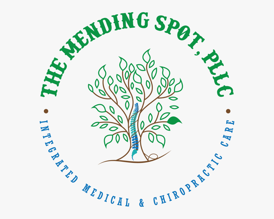 Circle, Transparent Clipart