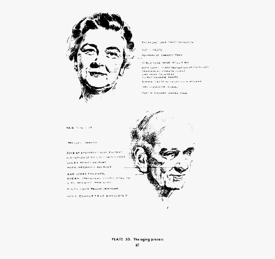 Andrew Loomis Drawing The Head And Hands 80 - Illustration, Transparent Clipart