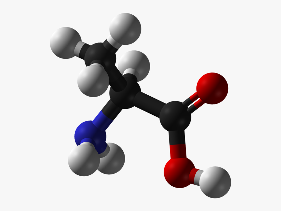 L Alanine 3d Structure, Transparent Clipart
