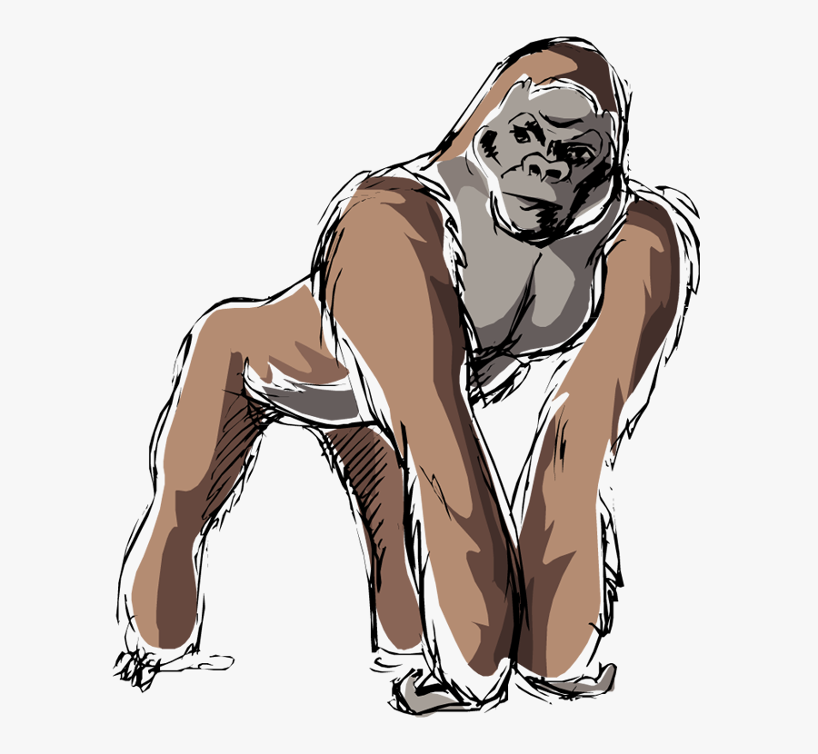 Gorilla, Transparent Clipart