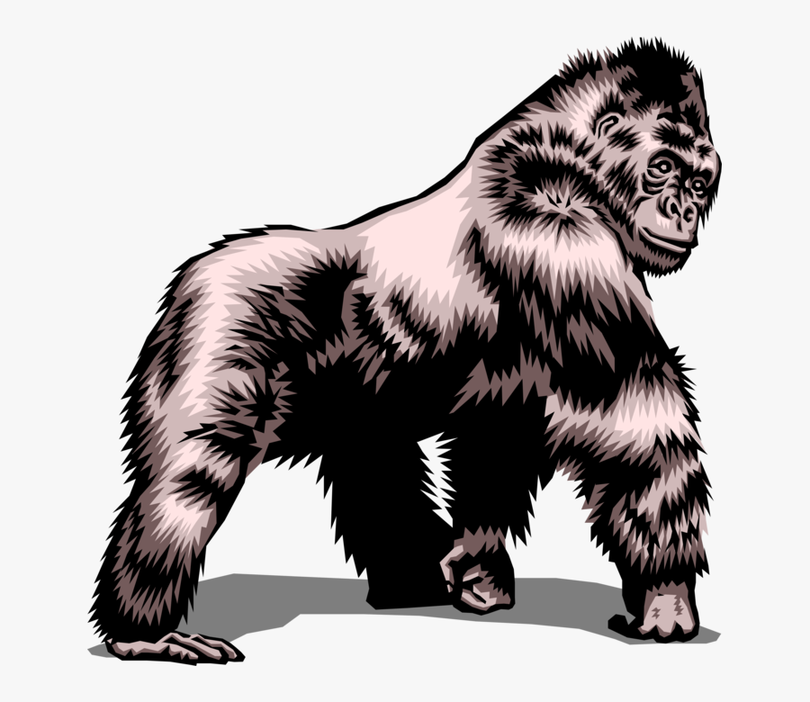 Vector Illustration Of Herbivorous Ape Silverback Gorilla - No Gorillas Allowed Sign, Transparent Clipart