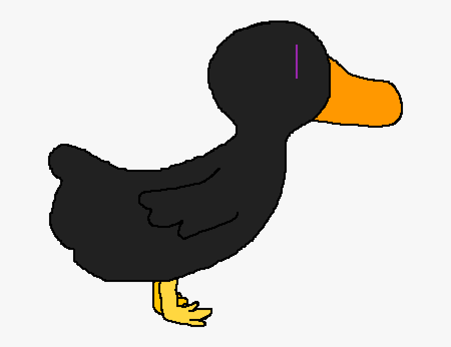 Duck, Transparent Clipart