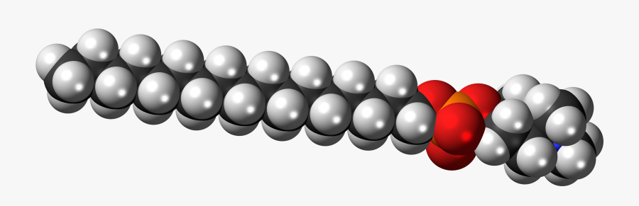 Space-filling Model Of The Perifosine Zwitterion - Phospholipid Molecule Space Filling, Transparent Clipart