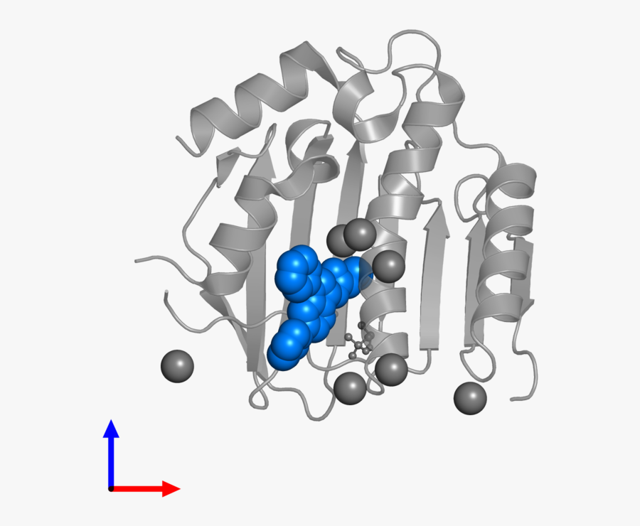 Balloon, Transparent Clipart